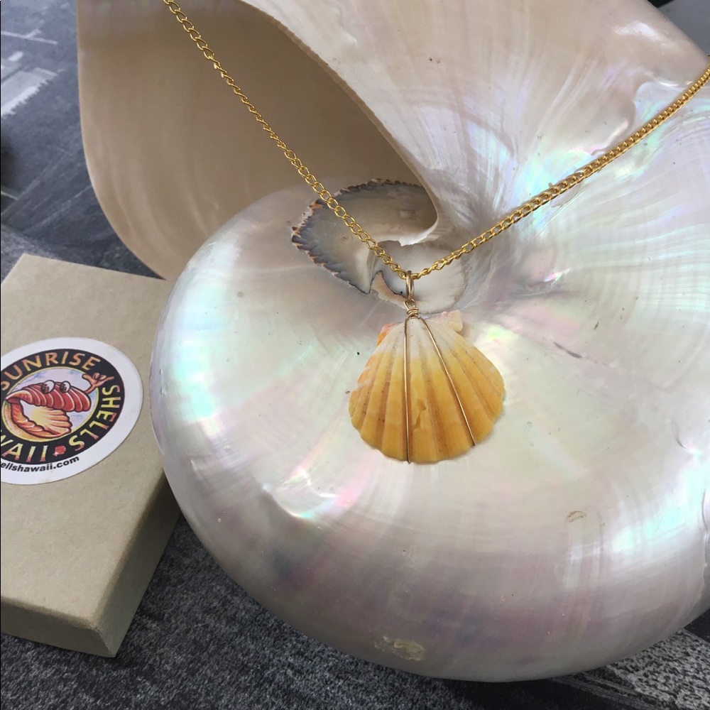 RARE SUNRISE SHELL 14kt Gold  NECKLACE⚜️🆕With tag